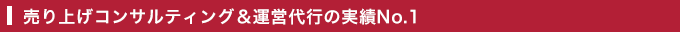 売り上げコンサルティング＆運営代行の実績No.1