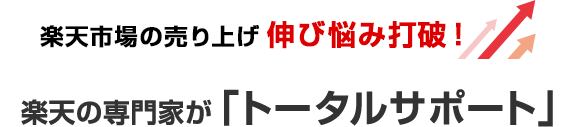 楽天市場の売り上げ伸び悩み打破！楽天の専門家が「トータルサポート」