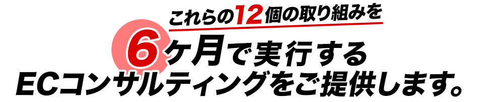これらの12個の取り組みを6ヶ月で実行する ECコンサルティングをご提供します。