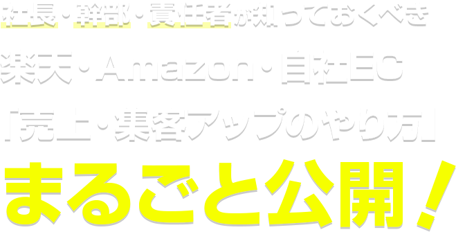 社長・幹部・責任者が知っておくべき楽天・Amazon・自社EC「売上・集客アップのやり方」まるごと公開！