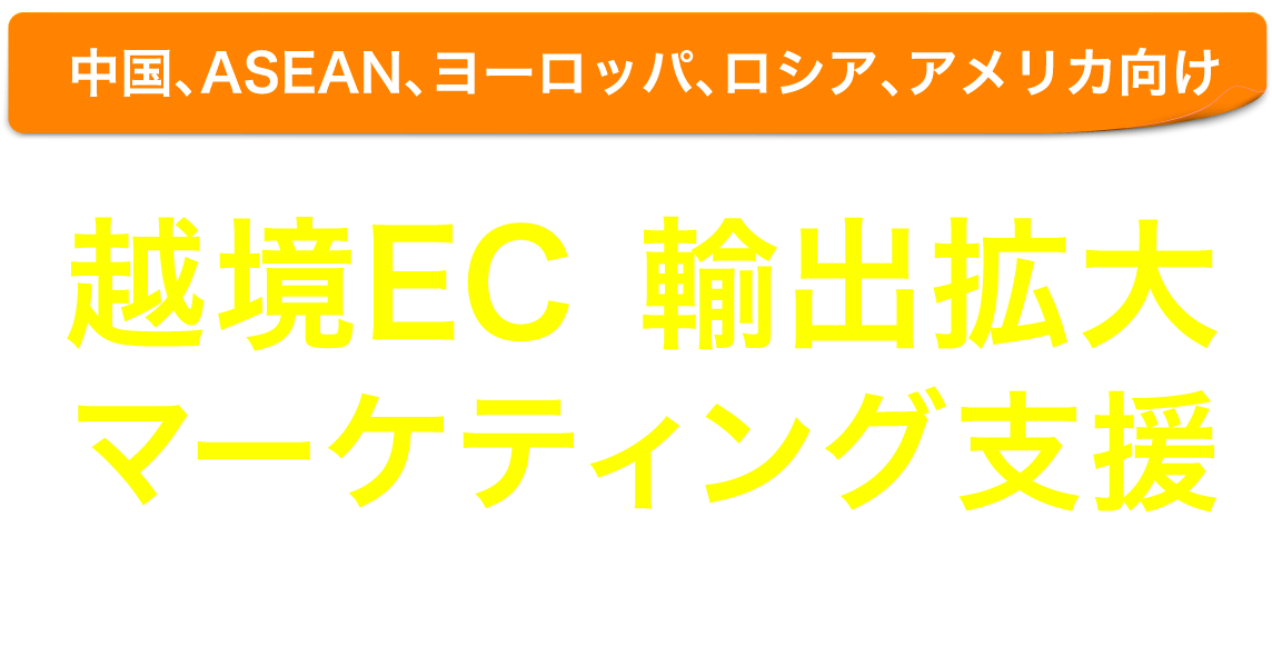 越境EC海外販路拡大 マーケティング支援