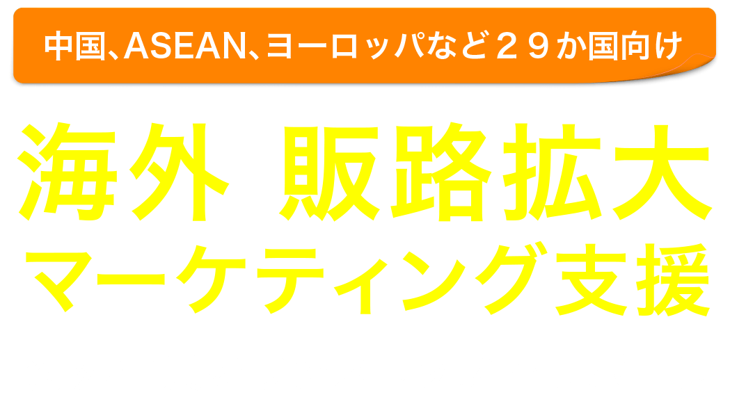 越境EC海外販路拡大 マーケティング支援