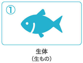 生体